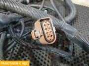 Проводка рамы правая